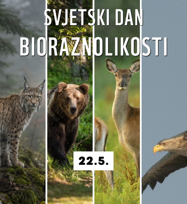 Svjetski dan bioloske raznolikostiwwf adria