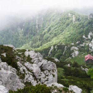 NP Risnjak: Zatvoreni ulaz i planinarska staza Vilje-Risnjak