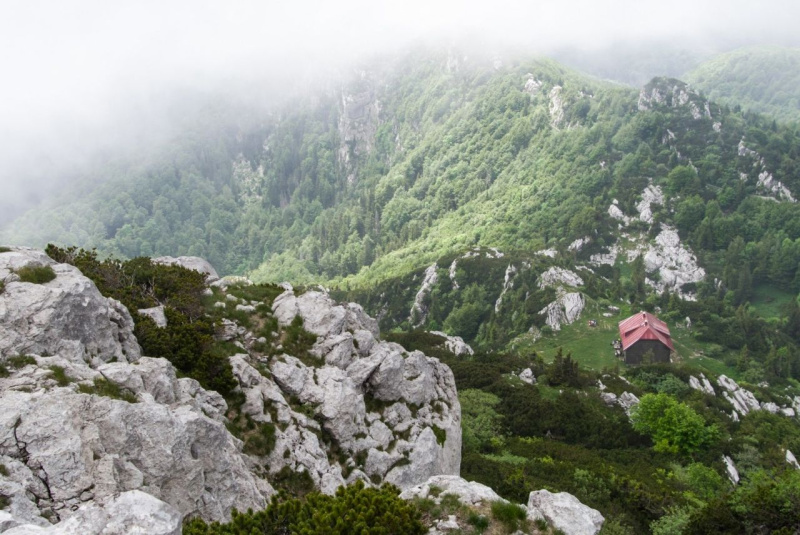 Risnjak Blanka pogled dom