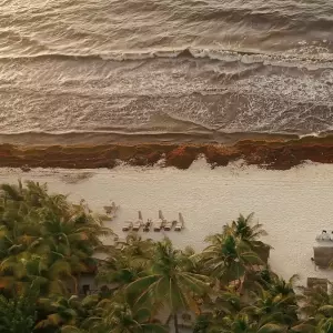 Alga koja je progutala karipske plaže: što Meksikov plan od 150 milijuna dolara govori o budućnosti upravljanja turizmom