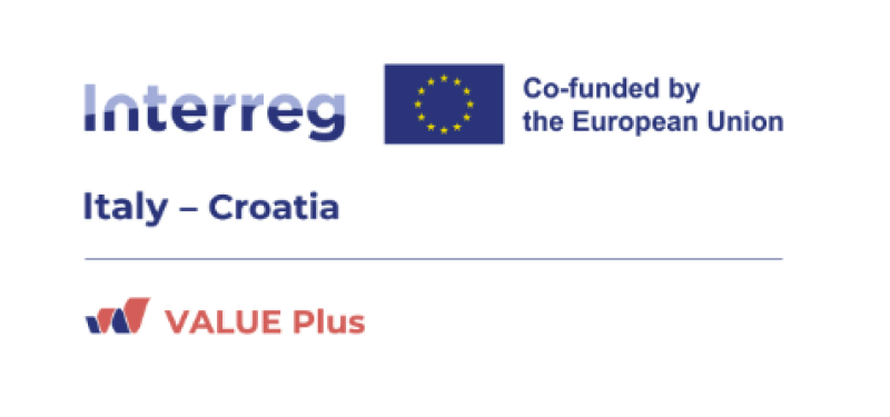 Value plus logo 5
